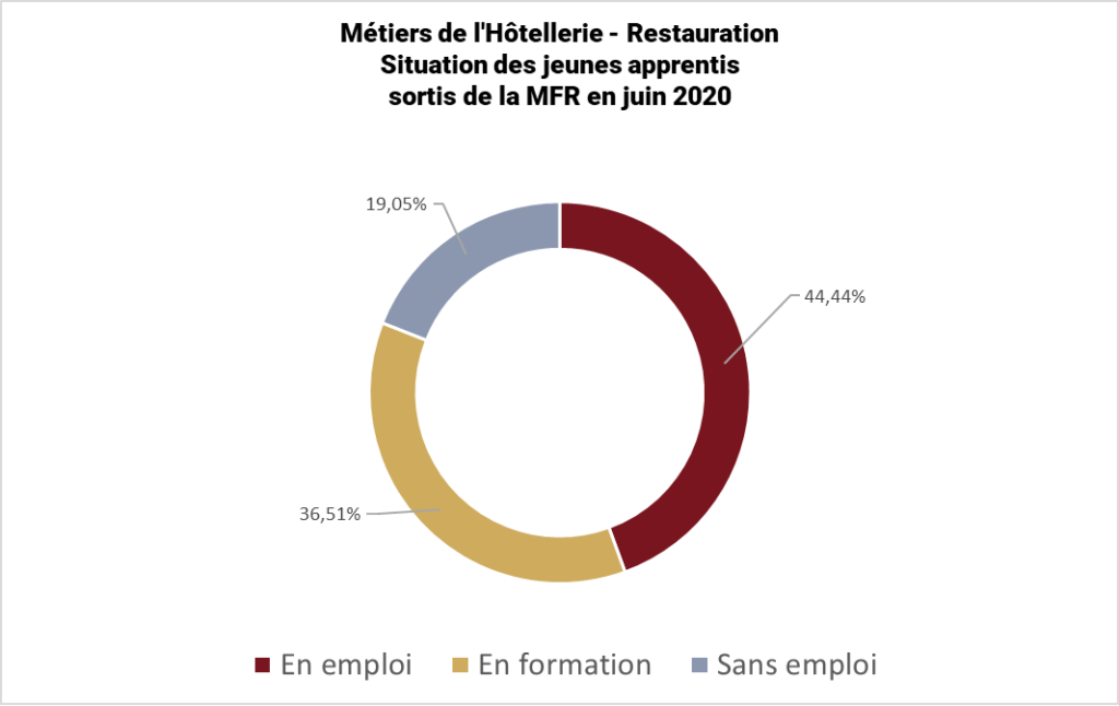 Insertion professionnelle